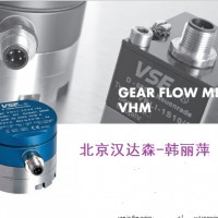 VSE  VHM系列VHM 02–1流量計(jì)