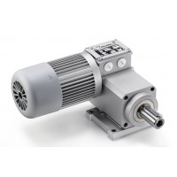 Mini Motor 電機型號及產品介紹