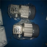 意大利Mini Motor BCE2000 12-24MP減速電機(jī)