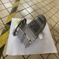 意大利Mini Motor 進口直流減速電機ACCE 24MP